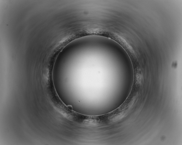 X0000099420211200805091251