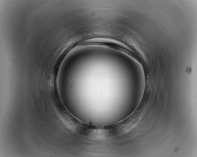 X0000099420212200805091251