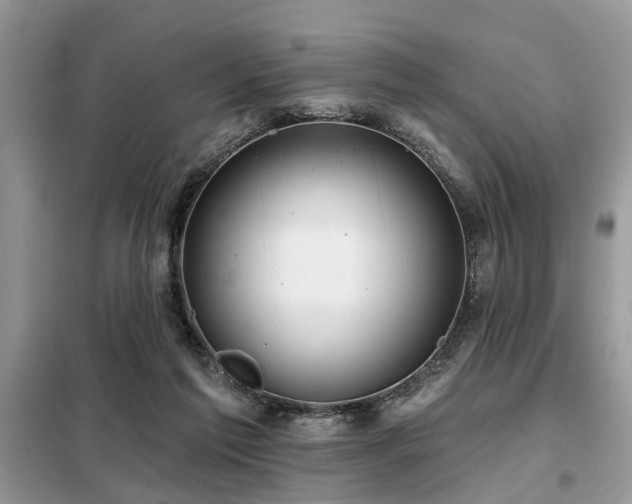 X0000099420213200805091251