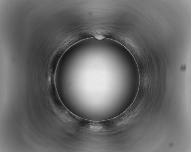 X0000099420214200805091251