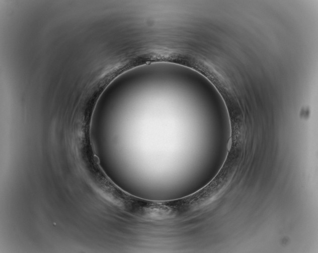 X0000099420215200805091251