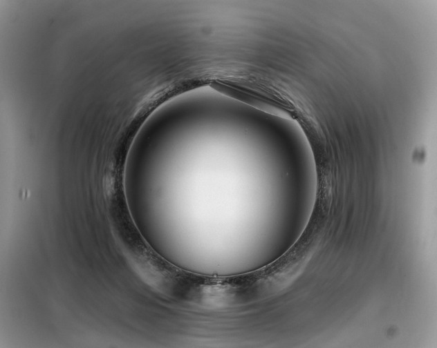 X0000099420216200805091251