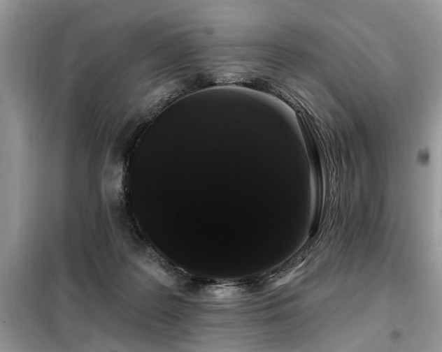 X0000099420219200805091251