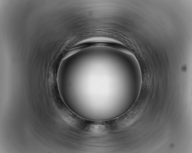 X0000099420220200805091251