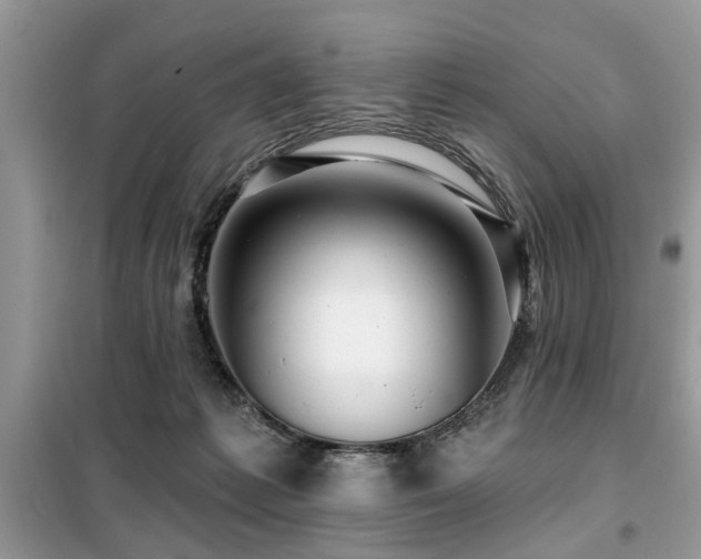 X0000099420221200805091250