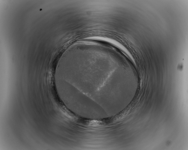 X0000099420222200805091250