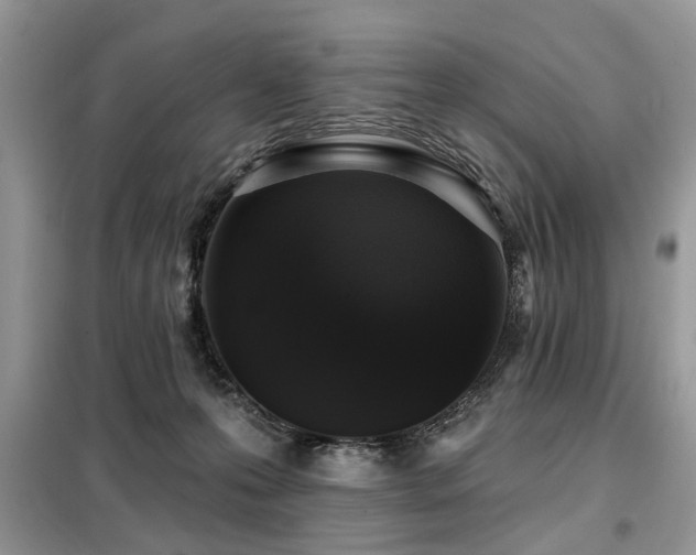 X0000099420223200805091250
