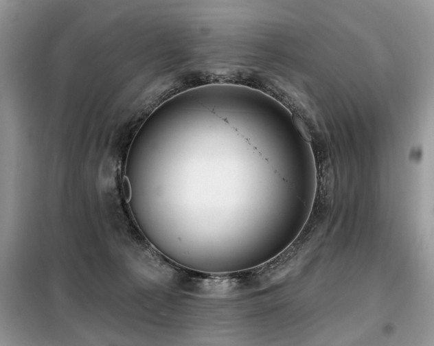 X0000099420225200805091250