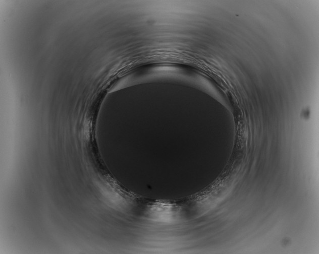 X0000099420227200805091250