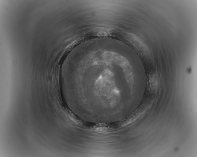 X0000099420228200805091250
