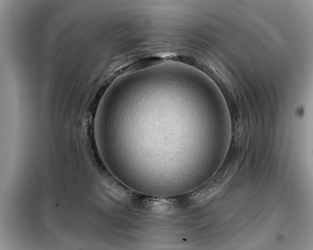 X0000099420229200805091250