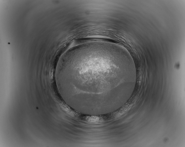 X0000099420230200805091250