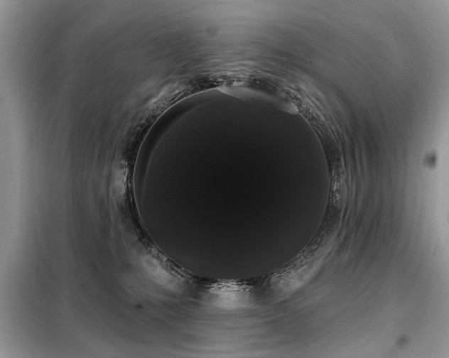 X0000099420231200805091250