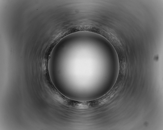 X0000099420232200805091250