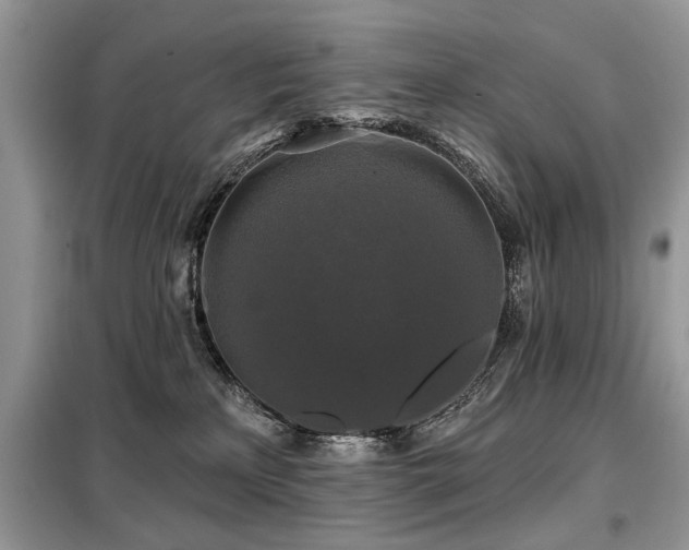 X0000099420233200805091250