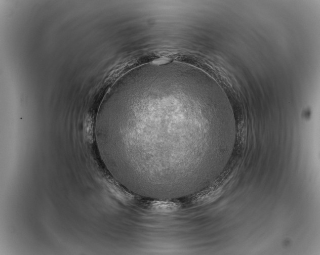 X0000099420234200805091250