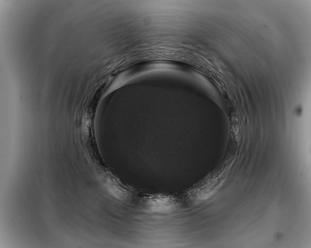 X0000099420235200805091250