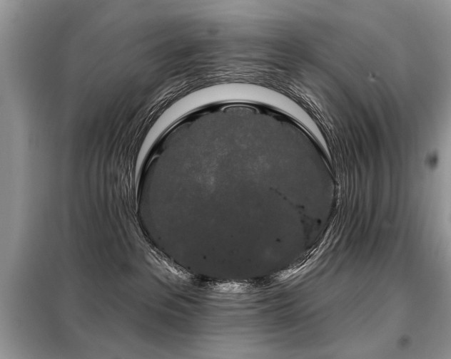 X0000099420237200805091250