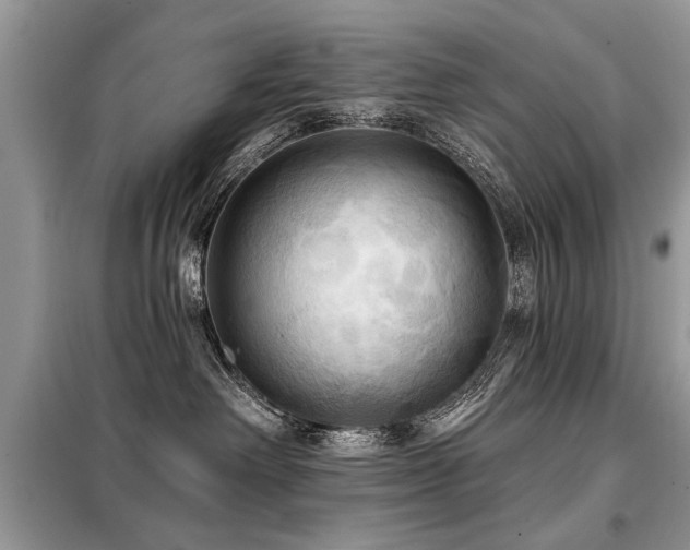 X0000099420238200805091250