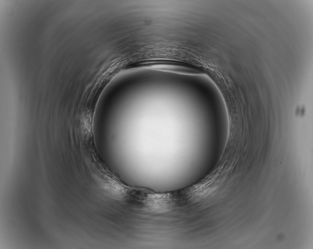 X0000099420240200805091250