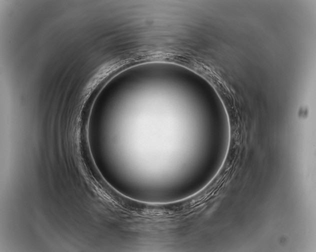 X0000099420242200805091250