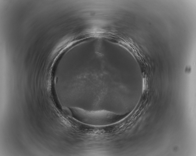 X0000099420243200805091250