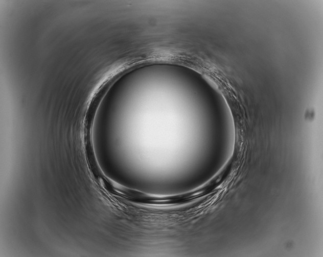 X0000099420244200805091250