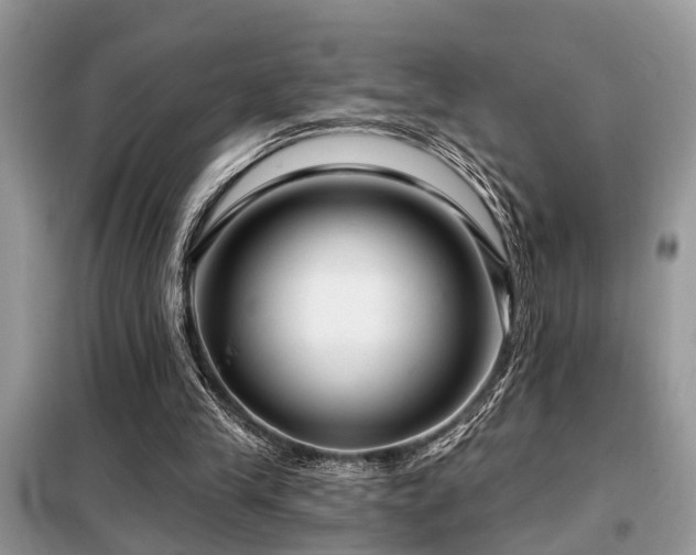 X0000099420245200805091250