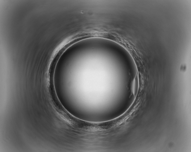 X0000099420246200805091250