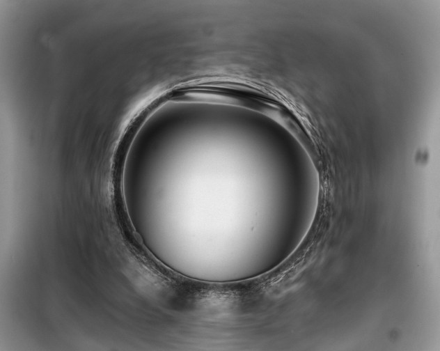 X0000099420248200805091250