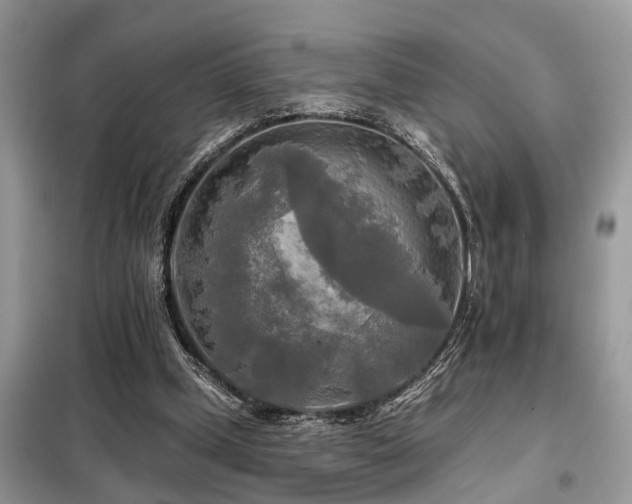 X0000099420249200805091250