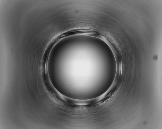 X0000099420252200805091250