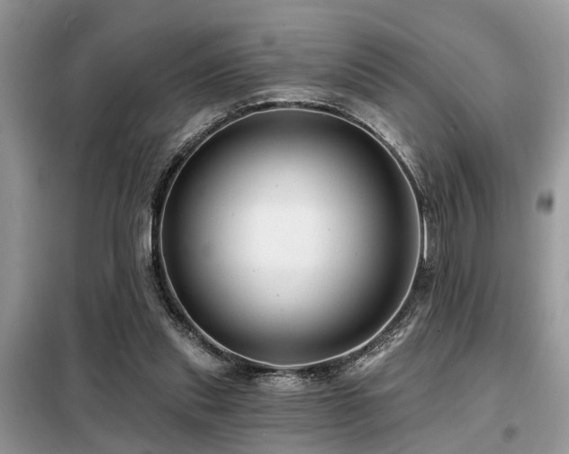 X0000099420253200805091250