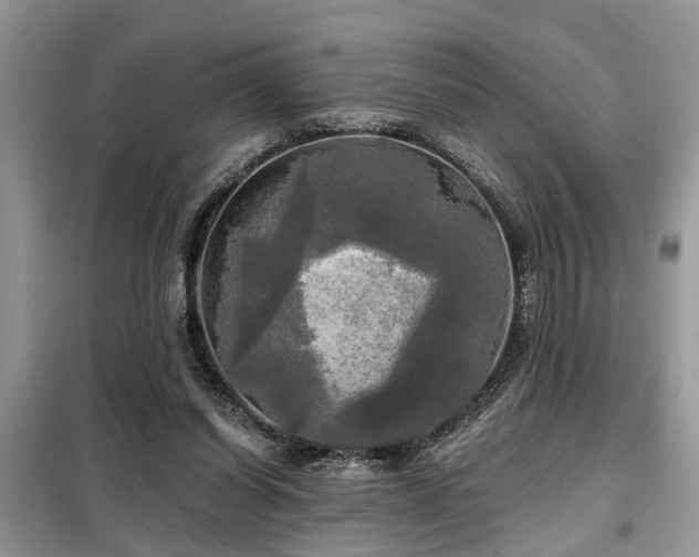 X0000099420254200805091250