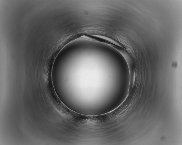 X0000099420255200805091250