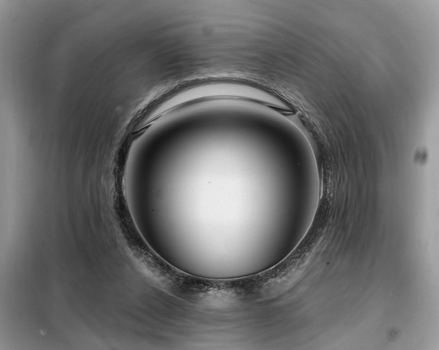 X0000099420256200805091250