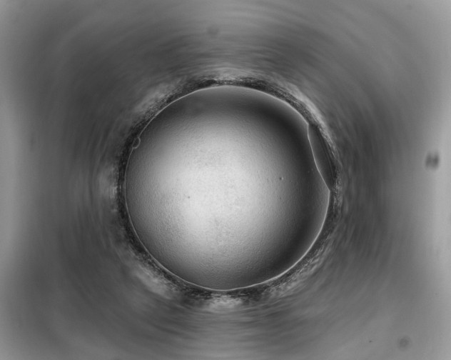 X0000099420257200805091250