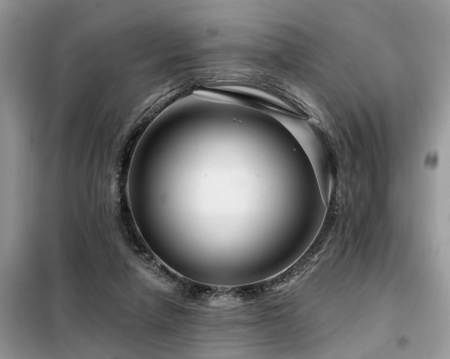 X0000099420258200805091250