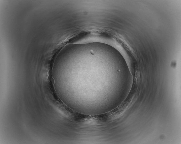X0000099420259200805091250