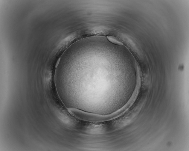 X0000099420260200805091250