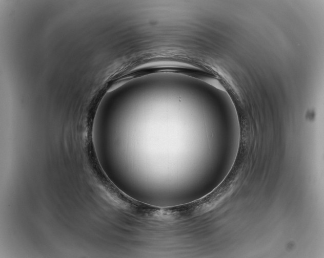 X0000099420261200805091250