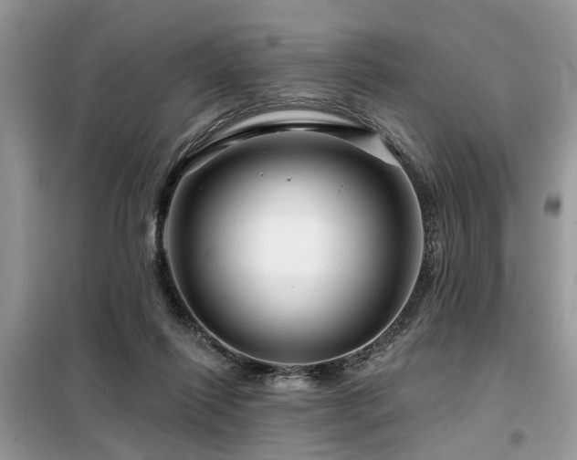 X0000099420262200805091250