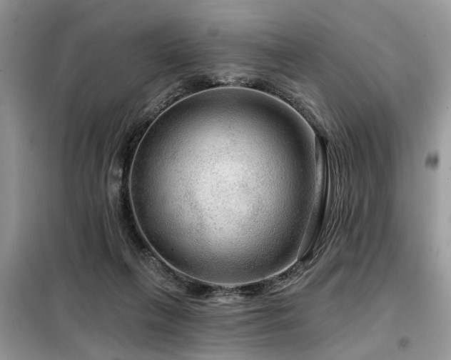 X0000099420263200805091250