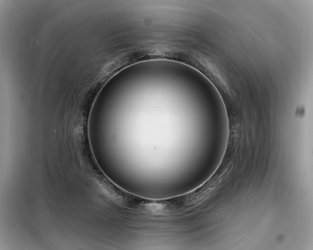 X0000099420265200805091250