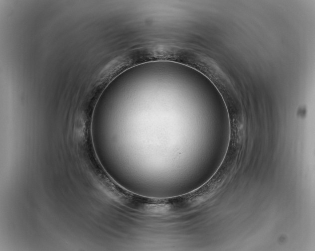 X0000099420266200805091250