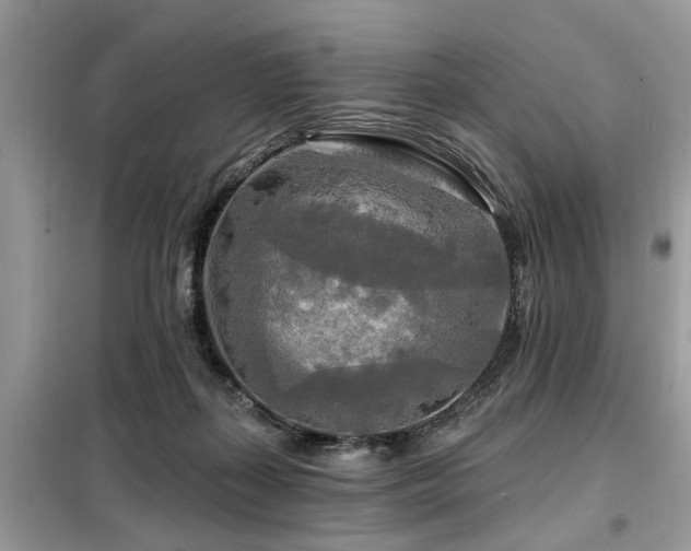 X0000099420267200805091250