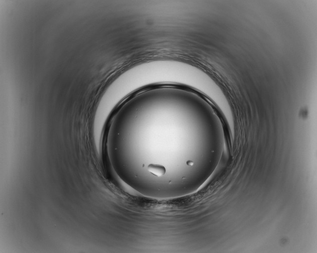 X0000099420268200805091250