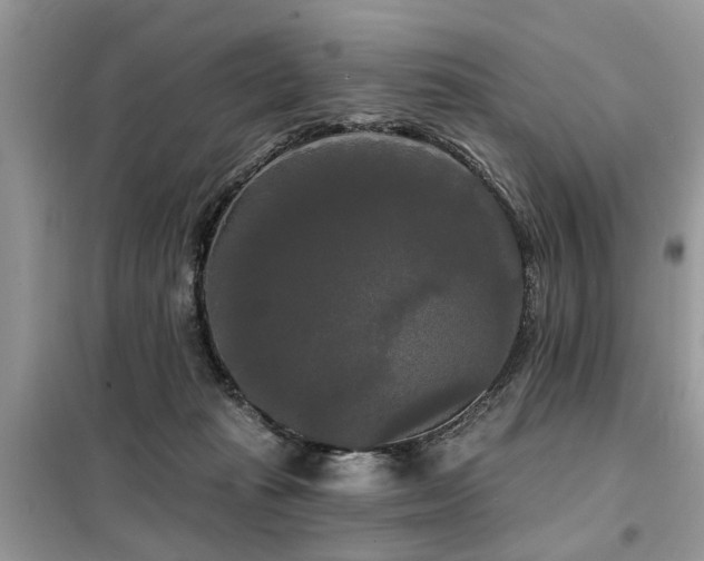 X0000099420269200805091250