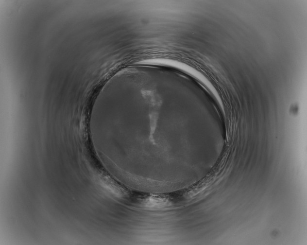 X0000099420270200805091250