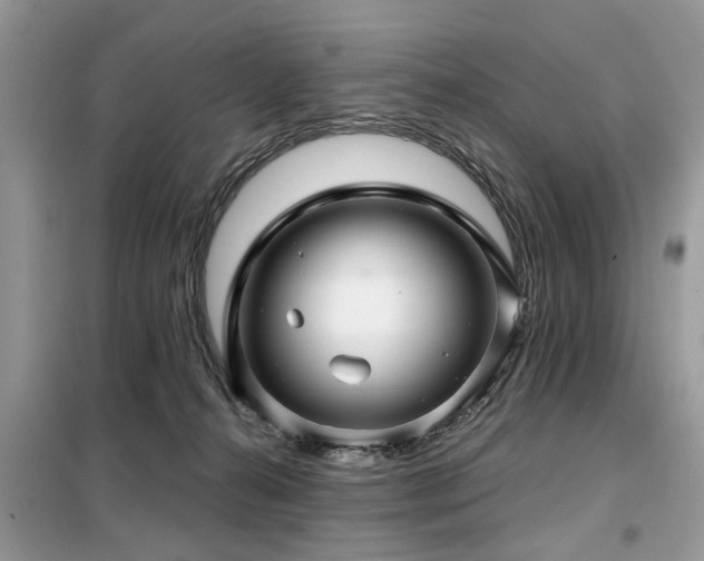 X0000099420272200805091250